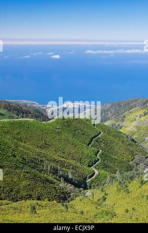 Le Portugal, l'île de Madère, Paul da Serra plateau dans le centre de l'île Banque D'Images