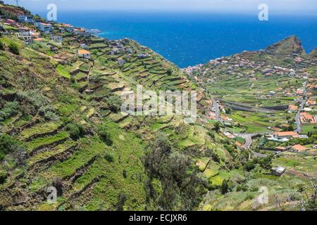 Le Portugal, l'île de Madère, la randonnée le long de la levada do Norte Banque D'Images