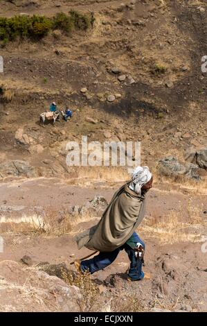 L'Éthiopie, Parc national du Simien de, inscrite au Patrimoine Mondial de l'UNESCO, Shepherd dans le canyon de la rivière Walza Banque D'Images