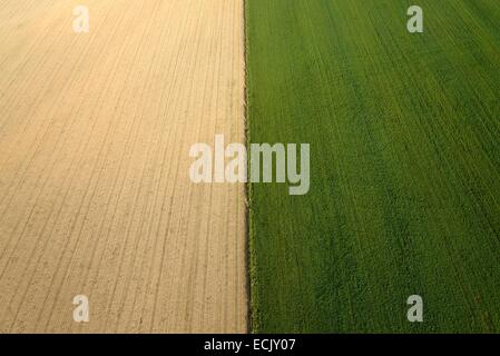 La France, Territoire de Belfort, Bavilliers, champs agricoles et de plantation (vue aérienne) Banque D'Images