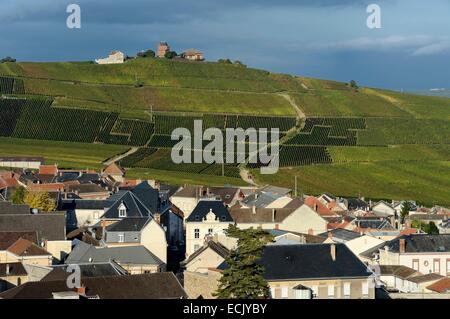 France, Marne, Parc Naturel de la Montagne de Reims (Parc Naturel de la Montagne de Reims), Verzenay, vignoble de Champagne Banque D'Images