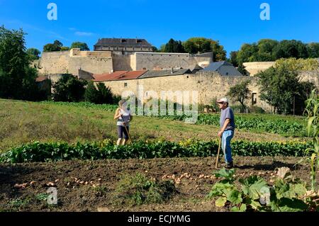 France, Moselle, Thionville, étiqueté Les Plus Beaux Villages de France (Les Plus Beaux Villages de France), couple cultiver son jardin à l'extérieur des remparts, les vestiges du château en arrière-plan Banque D'Images