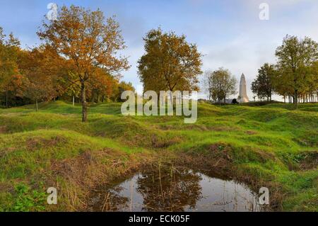 La France, la Meuse, Douaumont, paysage marqué par des trous d'obus encore un siècle après la bataille de Verdun, ouvrage Thiaumont s le long de l'ossuaire de Douaumont Banque D'Images