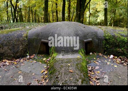 La France, la Meuse, la région de Douaumont, bataille de Verdun, le Fort de Souville, la casemate Pamard Banque D'Images