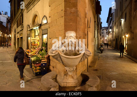 Florence. L'Italie. Fontana del Buontalenti entre via dello Sprone et le Borgo San Jacopo dans l'Oltrarno. Banque D'Images