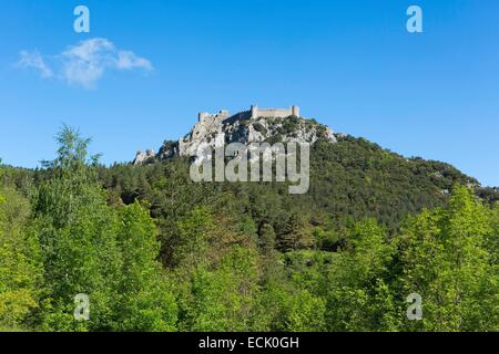 France, Aude, Lapradelle Puilaurens, Cathare château de Puilaurens dans la vallée de la Boulzane (Corbières) Banque D'Images