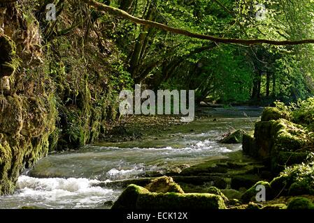 France, Doubs, Glay, flux et vallée de la Creuse au printemps Banque D'Images
