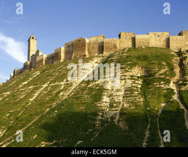 La Syrie. Citadelle d'Alep. Cité médiévale fortifiée. Construit iiie millénaire av-12ème siècle. Banque D'Images