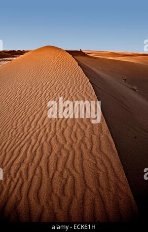 Le Maroc, Grand Sud, Chigaga Dunes Banque D'Images