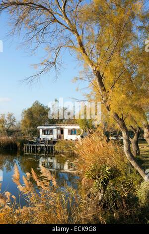 France, Bouches du Rhône, Parc Naturel Régional de Camargue, Les Saintes Maries de la mer, Mas de la Fouque Banque D'Images