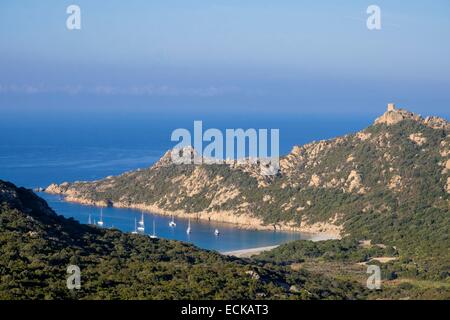 France, Corse-du-Sud, de Roccapina site naturel, génois tour surplombe les eaux turquoise bay Banque D'Images