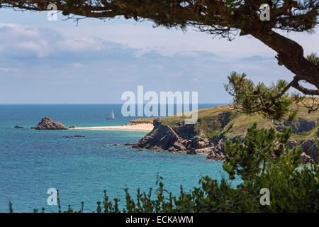 France, Morbihan, le Golfe du Morbihan, le Ponant îles, l'île de Houat, sur la mer du village Banque D'Images