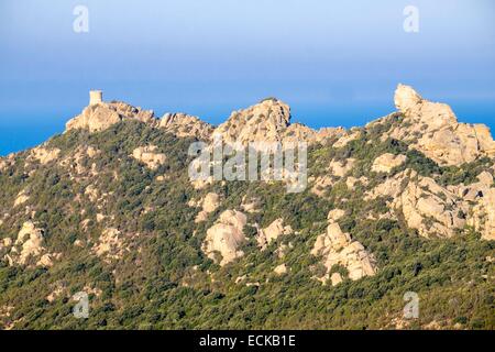 France, Corse-du-Sud, de Roccapina site naturel, tour génoise et le rocher du Lion Banque D'Images