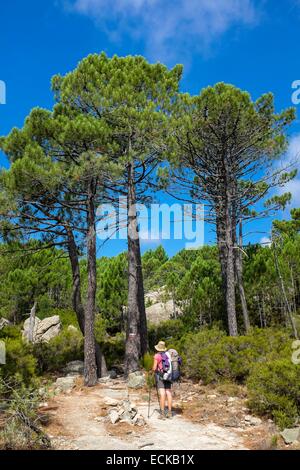 France, Corse du Sud, randonnées sur le GR 20, entre Conca et j'Paliri refuge Banque D'Images