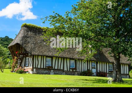 La France, l'Eure, Marais Vernier, région parc naturel régional de Brotonne, Vieux Port et ses maisons traditionnelles sur les rives de la Seine Banque D'Images