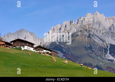 Autriche, Tyrol, Going am Wilder Kaiser, paysage alpin et cottage avant le Wilder Kaiser Banque D'Images