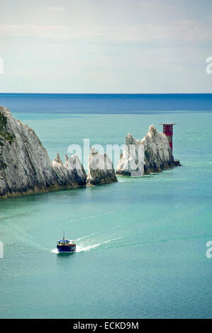 Vue verticale de l'aiguille dans l'île de Wight. Banque D'Images