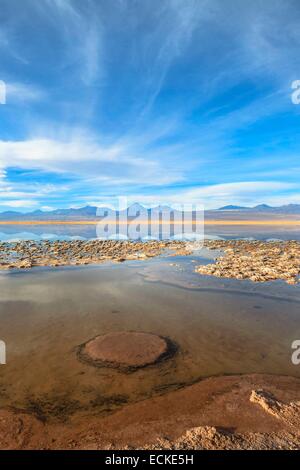 Chili, El Norte Grande, région d'Antofagasta, Salar de Atacama, Laguna Tebenquiche dans journée Banque D'Images