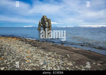 L'Islande, Péninsule de Vatnsnes, Nordhurland, plage de Hunafjordur avec l'Hvitserkur pile mer Banque D'Images