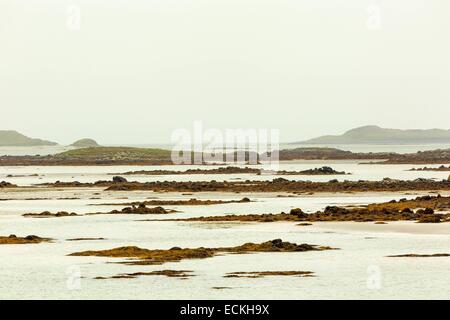 Royaume-uni, Ecosse, îles Hébrides, Otternish, North Uist ; marine, vue horizontale, voir d'îlots rocheux et d'algues dans un espace aquatique Banque D'Images