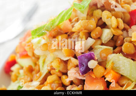 Libre d'une plaque avec une salade de lentilles Banque D'Images