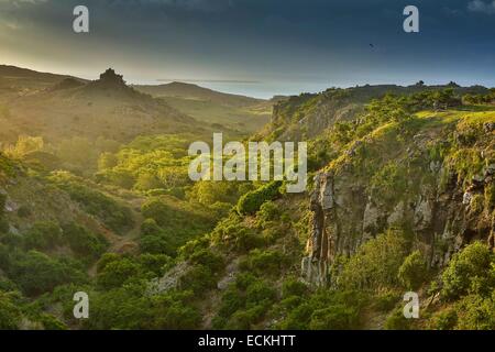 L'Ile Maurice, l'île Rodrigues, La Ferme, Cascade Pistache, vue horizontale d'un canyon sauvage entre les falaises couvertes de végétation au coucher du soleil Banque D'Images