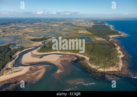 France, Vendée, Talmont Saint Hilaire, le havre du Port Bourgenay, et plage du Veillon la GuittiΦre les marais (vue aérienne) Banque D'Images