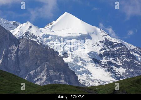 La Suisse, canton de Berne, Wengen, inscrite au Patrimoine Mondial de l'UNESCO, pic Silberhorn Banque D'Images