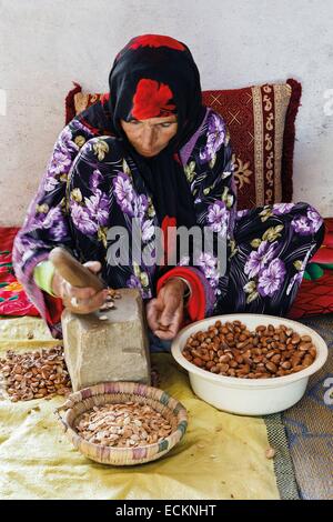 Maroc, région du Souss, Tadrart, coopérative des femmes marocaines, portrait d'une femme en charge de la mise en pâte de graines d'argan, de l'argan pâte traditionnelle et manuellement les semences Banque D'Images