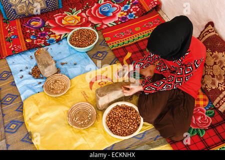 Maroc, région du Souss, Tadrart, développement de l'huile d'Argan, paysage Banque D'Images