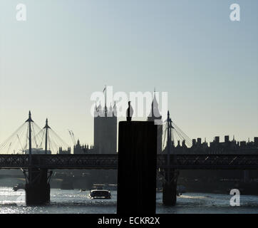 Silhouette d'aigrettes dans post, Hungerford Bridge et du Palais de Westminster, derrière, Londres, Angleterre, Royaume-Uni Banque D'Images