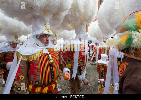 Gilles portant des coiffes d'autruche et transportant des oranges lors d'une procession dans les rues lors de la Binche Carnaval, Binche, Belgique Banque D'Images