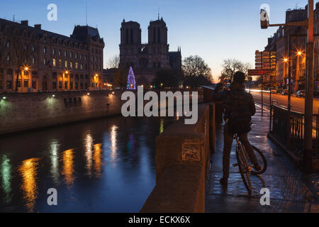 Un touriste prend une photo de la cathédrale Notre Dame, à l'aube. Paris, Ile de France, France. Banque D'Images