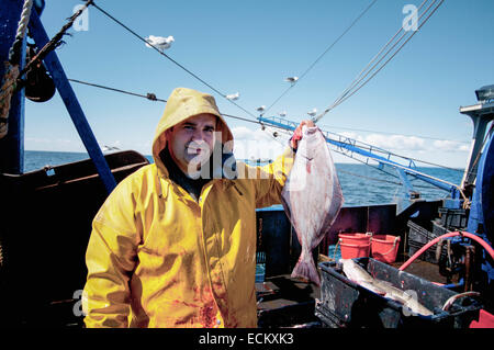 Sortes de captures des pêcheurs de limande à queue jaune (Limanda ferruginea) et la Morue franche (Gadus morhua) sur le pont de bateau de pêche. Banque D'Images