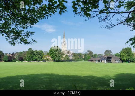 Cathédrale de Norwich à partir de l'ensemble de l'école Riverside rois du Jeu Banque D'Images