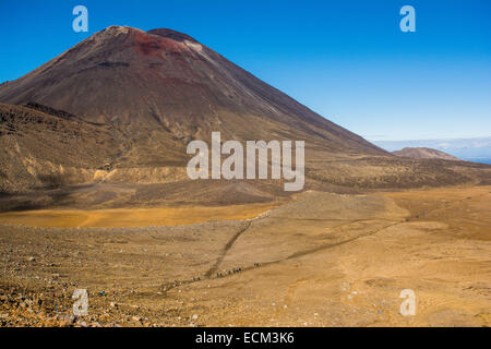 Les randonneurs en vertu de Mt. Ngauruhoe, Circuit de randonnée du Nord, Parc National de Tongariro, île du Nord, Nouvelle-Zélande Banque D'Images