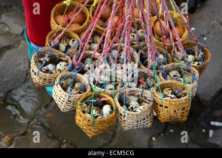 Paniers de oeufs de cailles en vente à un vendeur de rue, Chiang Rai, Thaïlande Banque D'Images