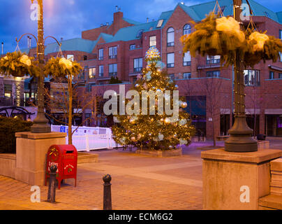 Un arbre de Noël à Oakville's Towne Square au crépuscule. L'Ontario, Canada. Banque D'Images