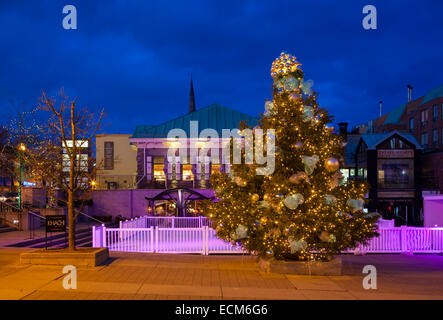 Un arbre de Noël à Oakville's Towne Square au crépuscule. L'Ontario, Canada. Banque D'Images