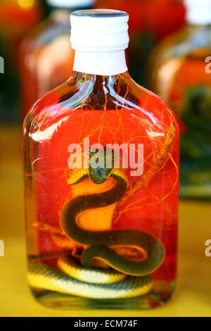 Bouteilles de whisky de l'île Snake dans Donsao village au Laos à la triangle d'où la Thaïlande, Birmanie et Laos frontières rencontrez un Banque D'Images