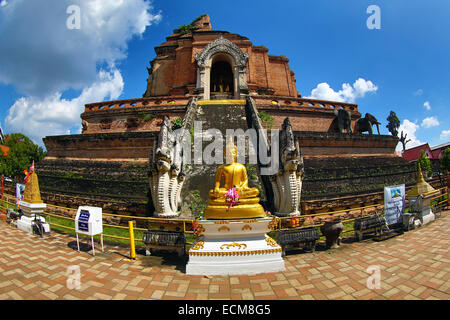 Statue du Bouddha d'or de Wat Chedi Luang temple à Chiang Mai, Thaïlande Banque D'Images