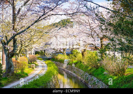 Kyoto, Japon à Philosopher's Way au printemps. Banque D'Images