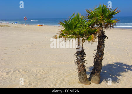 Costa Nova beach, Aveiro, région Beiras, Portugal, Europe Banque D'Images