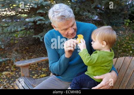 Grand-père montrant son petit-fils une feuille d'automne Banque D'Images