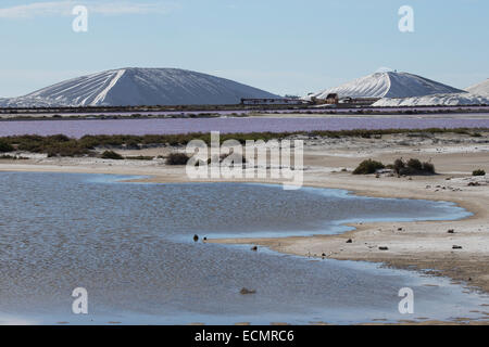 L'évaporation du sel des étangs, marais salants, marais salants, sel, Meersalz-Gewinnung Salzgewinnungsanlage, Salinen,,, Salzgewinnung Meersalz Banque D'Images