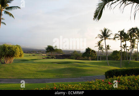 Waikoloa Hawaii Big Island golf course at Kings exclusif Golf Course at Waikoloa Beach avec des palmiers Banque D'Images