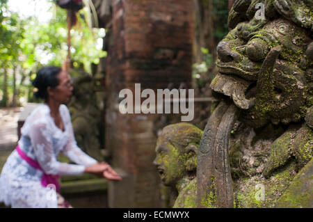 Femme en prière et en donnant des offres. Les macaques à longue queue (Macaca fascicularis) dans la forêt des singes sacrés, Ubud, Indonésie. Monkey (Ma Banque D'Images