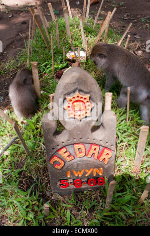 Une tombe de Sacred Monkey Forest, Ubud. L'Indonésie. Les macaques à longue queue (Macaca fascicularis) dans la forêt des singes sacrés, Ubud, Indon Banque D'Images