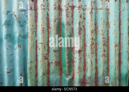 Feuille de zinc rouillé Banque D'Images