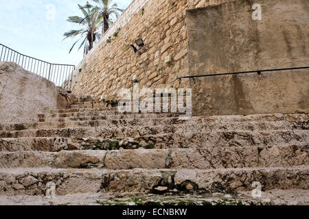 Un immense escalier de pierre taillée dans la roche a été découverte dans les douves qui mène dans un réservoir en date du temps du roi Hérode qui a servi comme une luxueuse piscine à cela, l'un des cinq palais, construit par Hérode dans tout le pays. L 'Kishle' et la citadelle le fossé à la Tour de David, Musée d'histoire de Jérusalem ont récemment été ouverts au public permettant à l'exploration de nouvelles découvertes archéologiques faisant la lumière sur les couches de l'histoire de la ville datant de l'époque du Premier Temple, dans le 8ème siècle avant notre ère. Banque D'Images